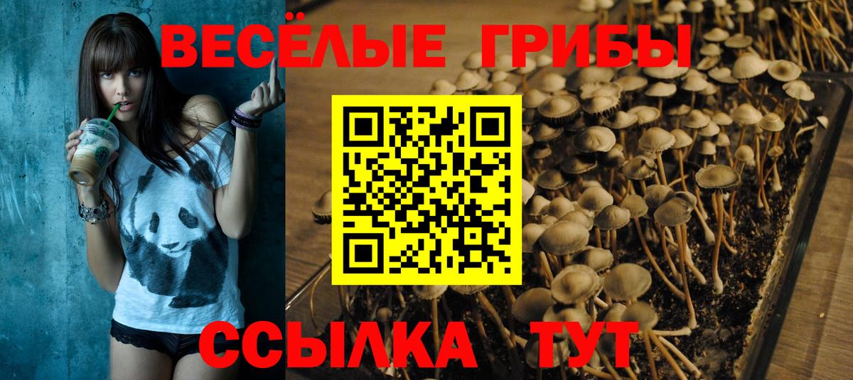 Псилоцибиновые грибы GOLDEN TEACHER  Вход с VPN  Ялуторовск 